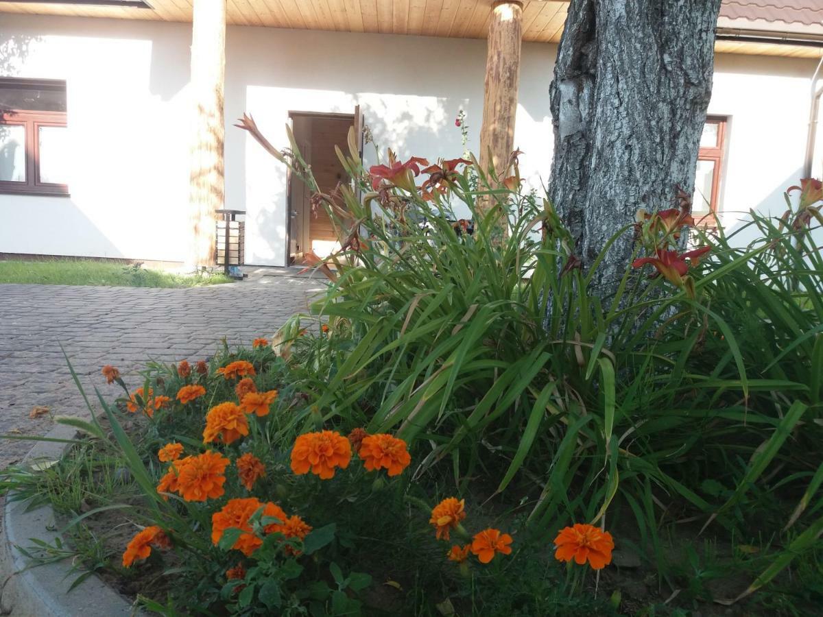 Dom Piotra Apartment Гонендз Екстериор снимка